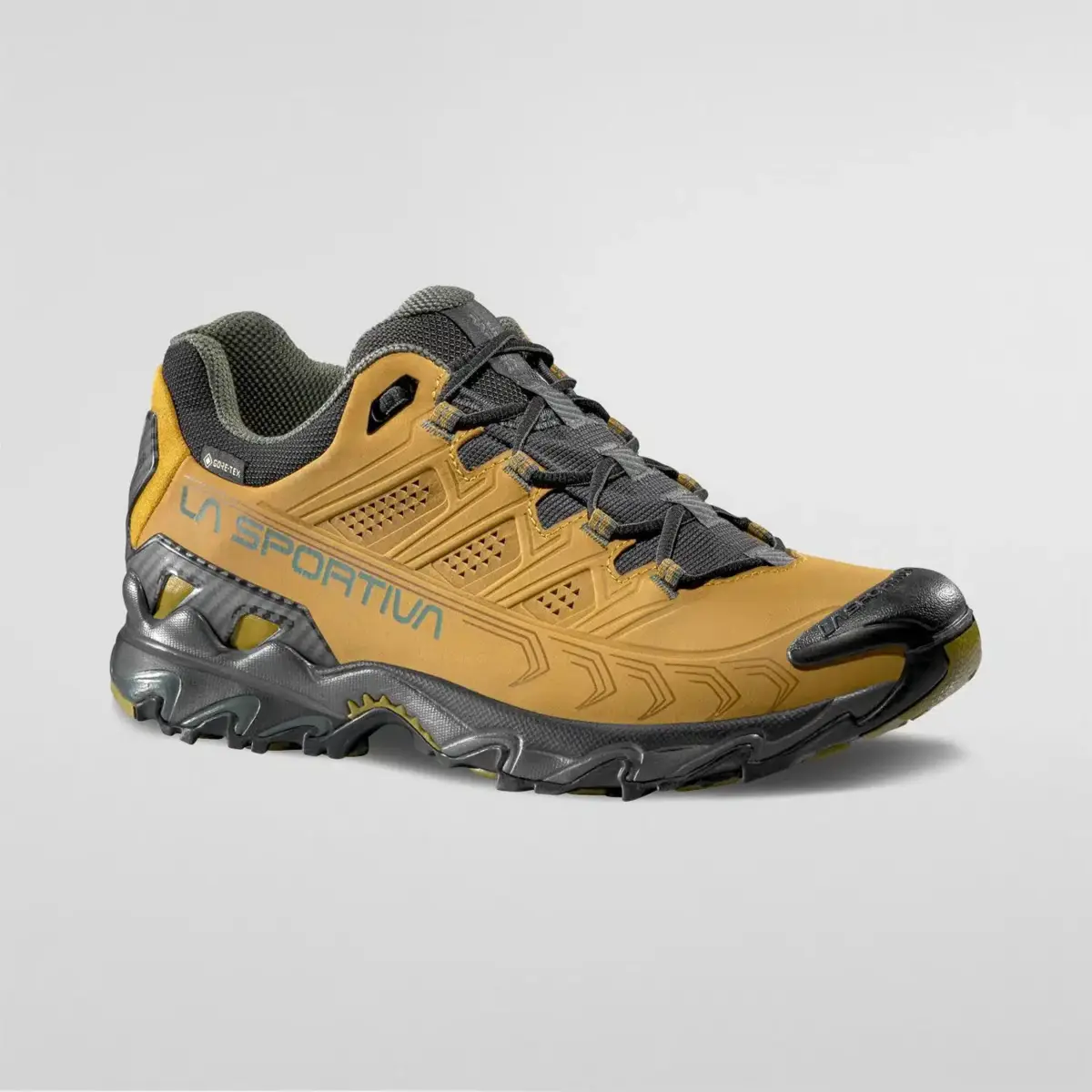 Ultra Raptor II Leather GTX Ultra Raptor II Leather GTX