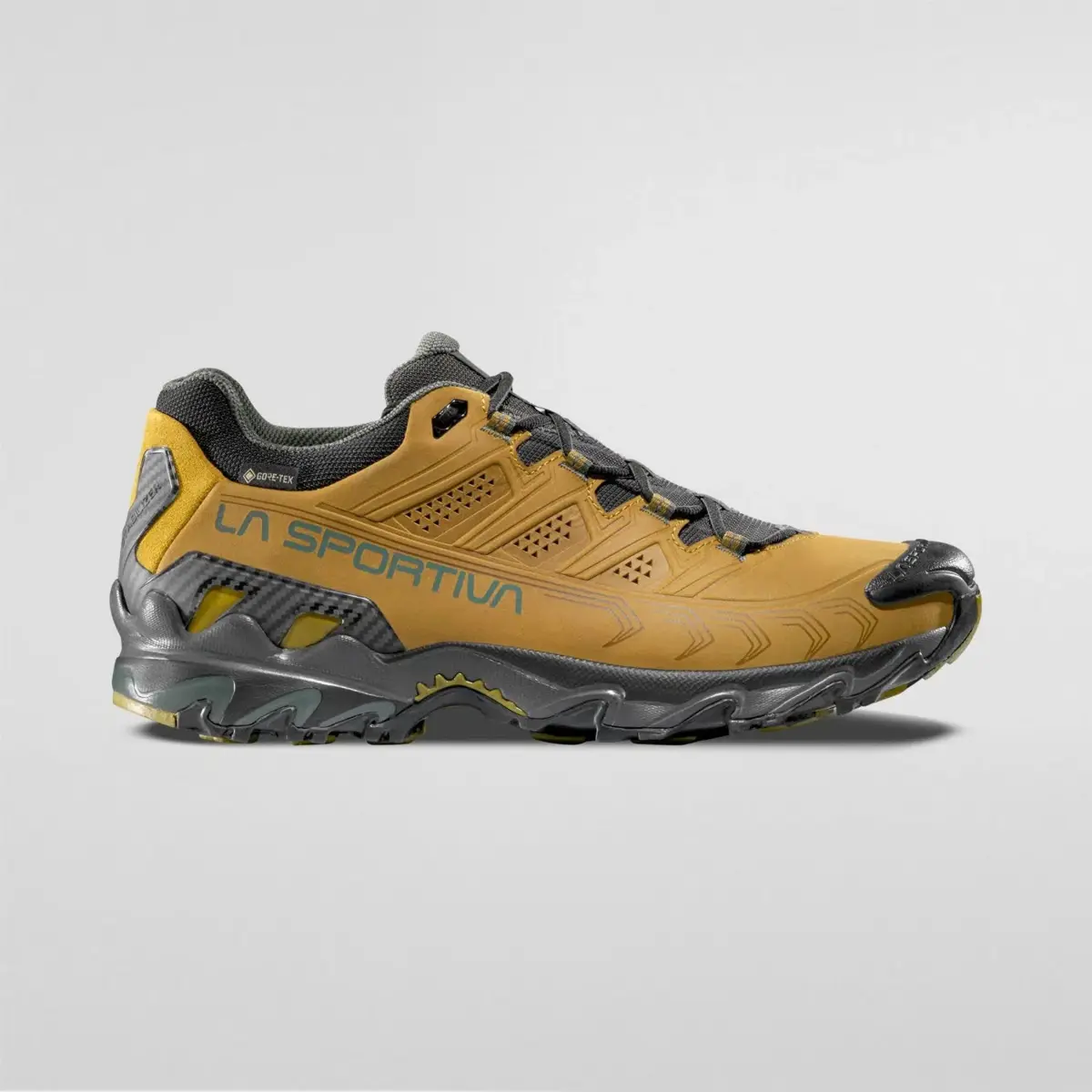 Ultra Raptor II Leather GTX Ultra Raptor II Leather GTX